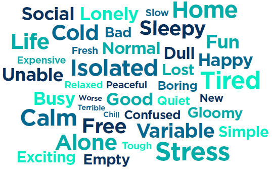 A word cloud graphic taken from the report. The main words are aligned to isolation, being lonely, alone and stress.