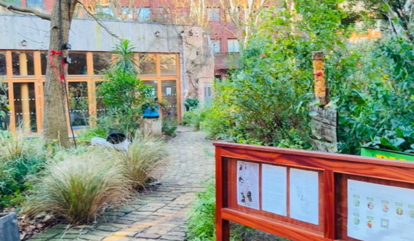 This image by Ben Wright captures a vibrant urban green space, showcasing a path made of pavers surrounded by diverse plant life, leading to a building with a minimalist design. It's an inviting scene of nature thriving within a city environment.